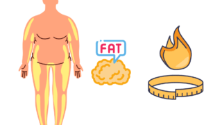 【連載ダイエットコラム-全3回】第1回-太る理由、痩せる理由。体脂肪はどこへ行く?