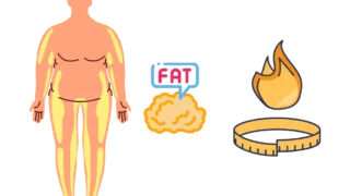 【連載ダイエットコラム-全3回】第1回-太る理由、痩せる理由。体脂肪はどこへ行く？ 